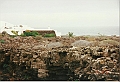 Lanzarote1997-049